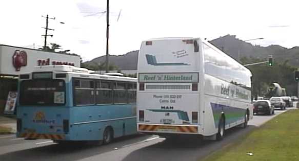 Sunbus Mercedes rear view